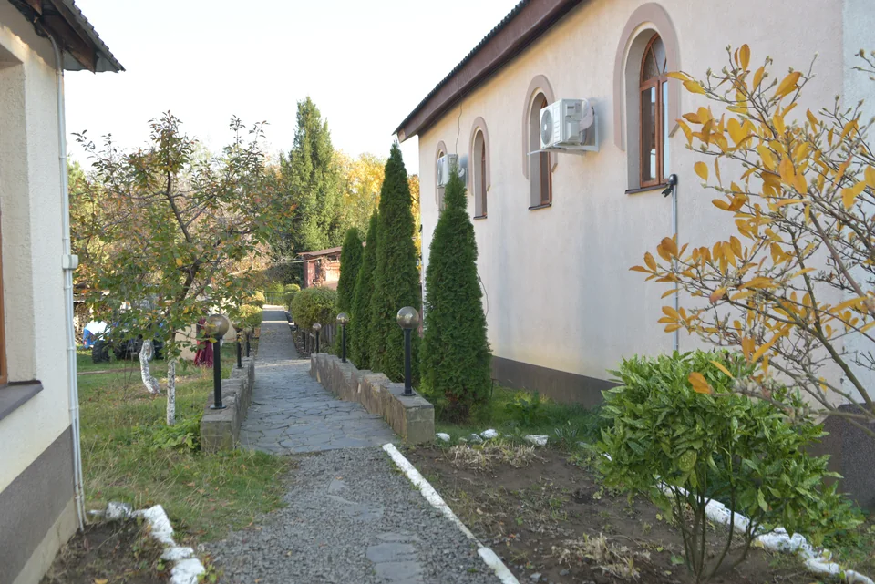 Доріжка між будівлями, хвойні дерева та осінній сад